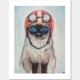 Aviator Cat Posters and Art